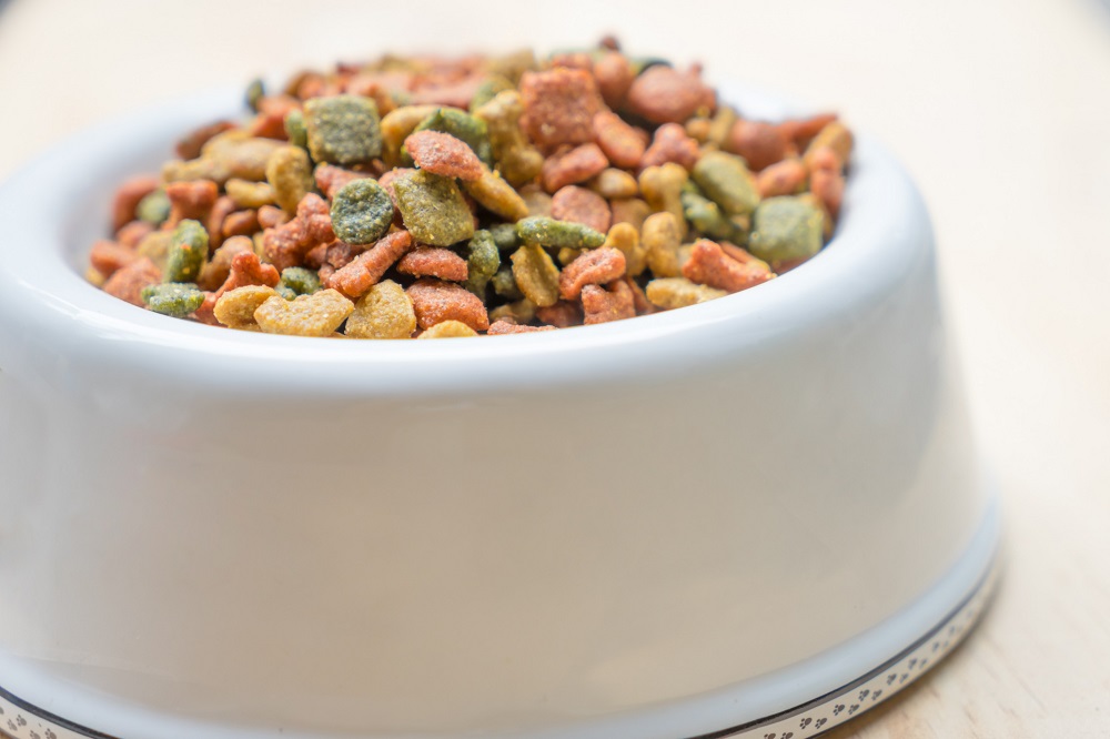 Pet Nutrition Consultation